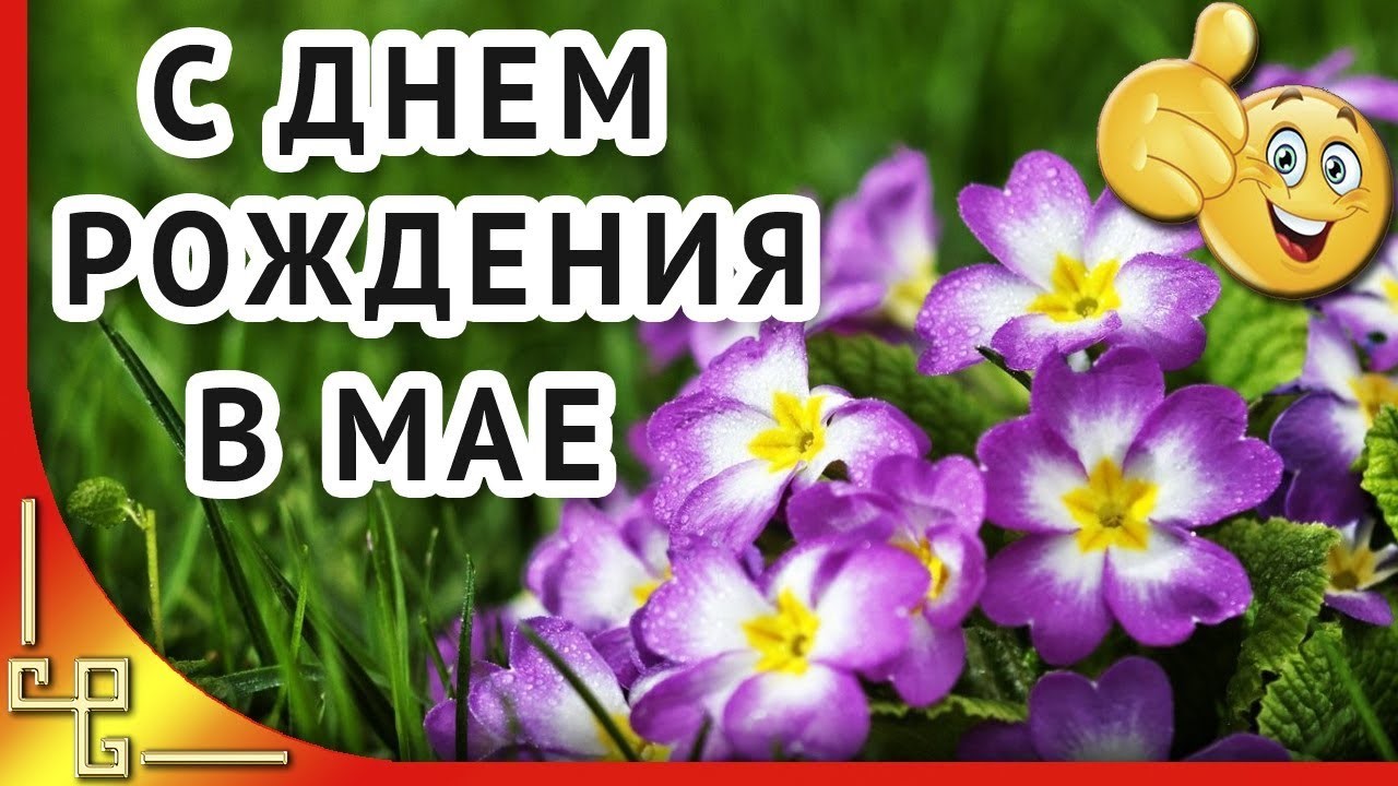 happy_birthday