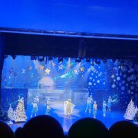 photo_2025-12-24_16-11-37 (4)