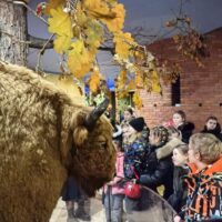 photo_2025-12-29_11-52-48 (4)