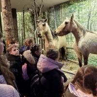 photo_2025-12-29_11-52-49